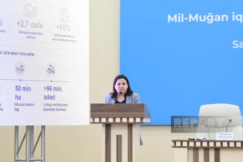 Gadimova: Azerbaijan aims to boost mutton output by 9% until 2030