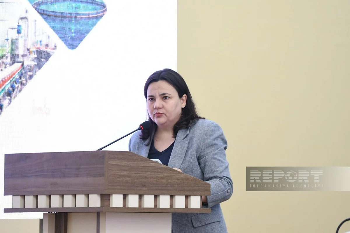 Deputy Minister: Azerbaijan plans laser leveling on 84,900 hectares