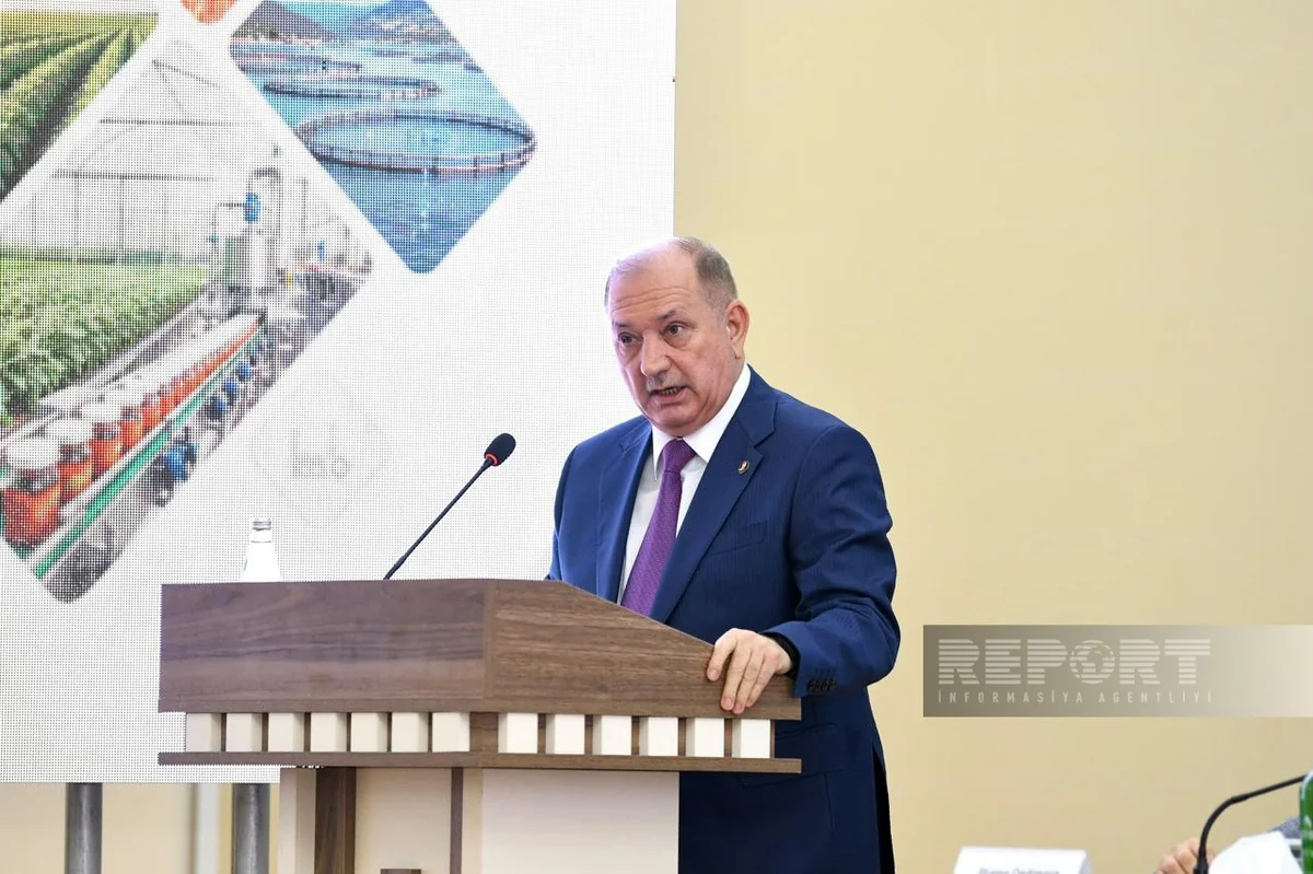 İcra başçısı: Beyləqanda taxıl istehsalı hədəfə yaxınlaşır