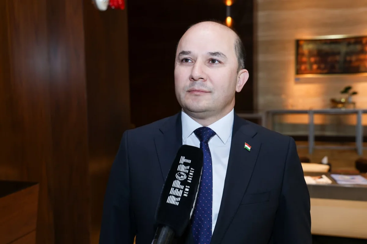 Tajikistan interested in joining Azerbaijan's Green Energy Corridor - EXCLUSIVE