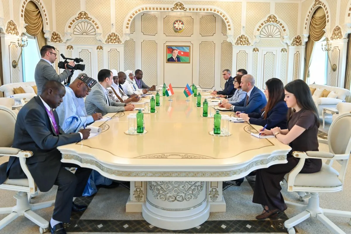 Niger seeks to benefit from Azerbaijans energy experience