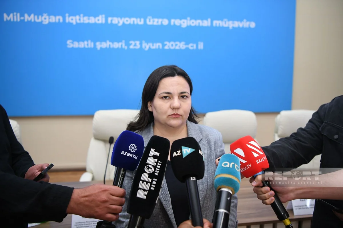 İlhamə Qədimova: Kənd təsərrüfatı klassik modeldən transformativ mərhələyə keçid edir