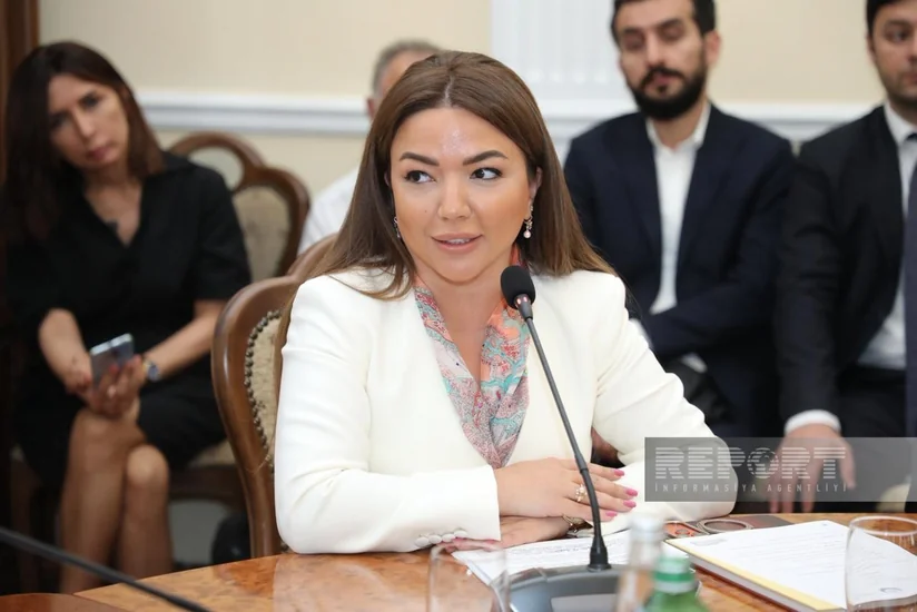 Aygün Əliyeva: QHT-lər regionlarda ailə və uşaq hüquqları istiqamətində fəaliyyətini gücləndirməlidir