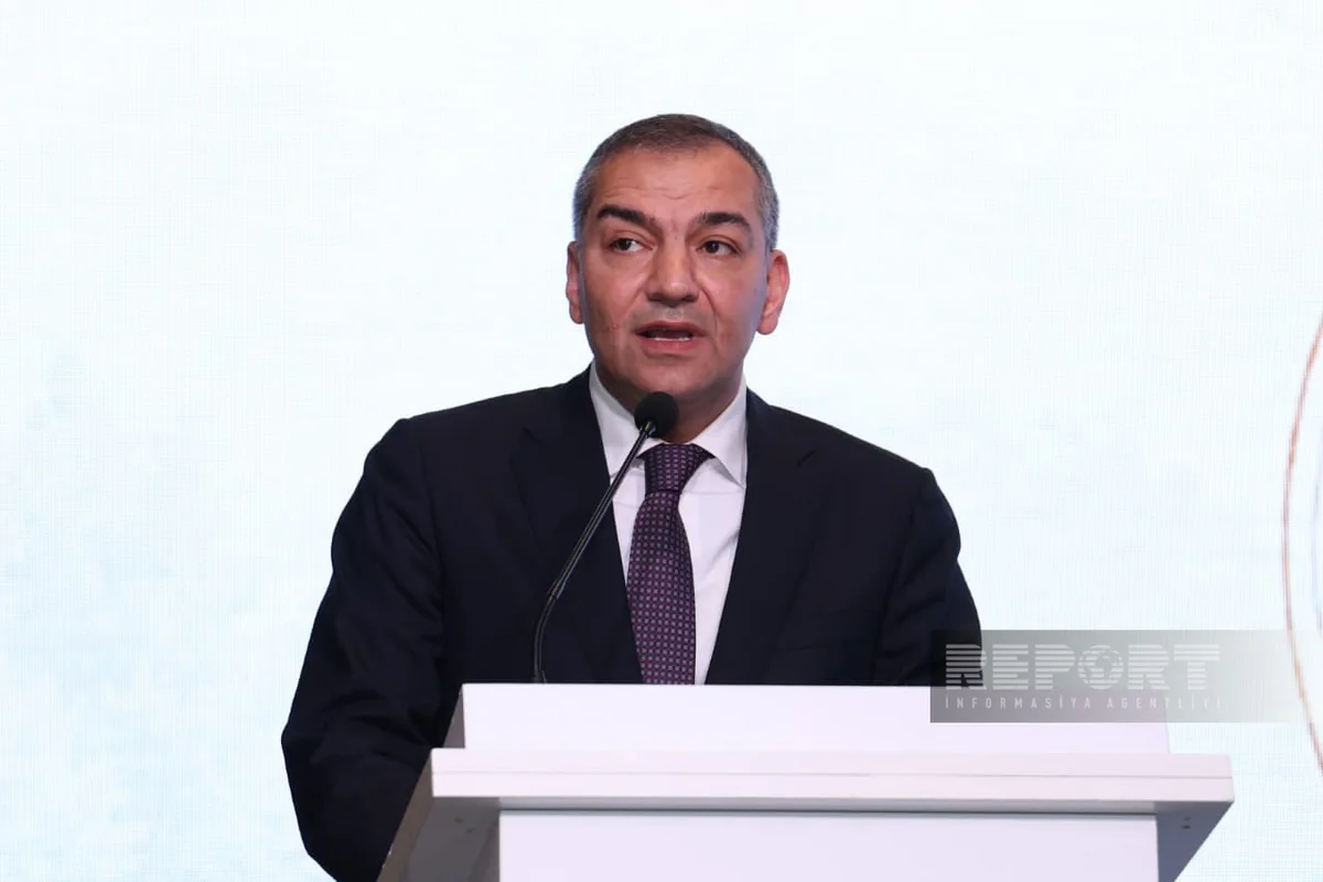 Fuad Naghiyev: Success in tourism goes beyond visitor numbers