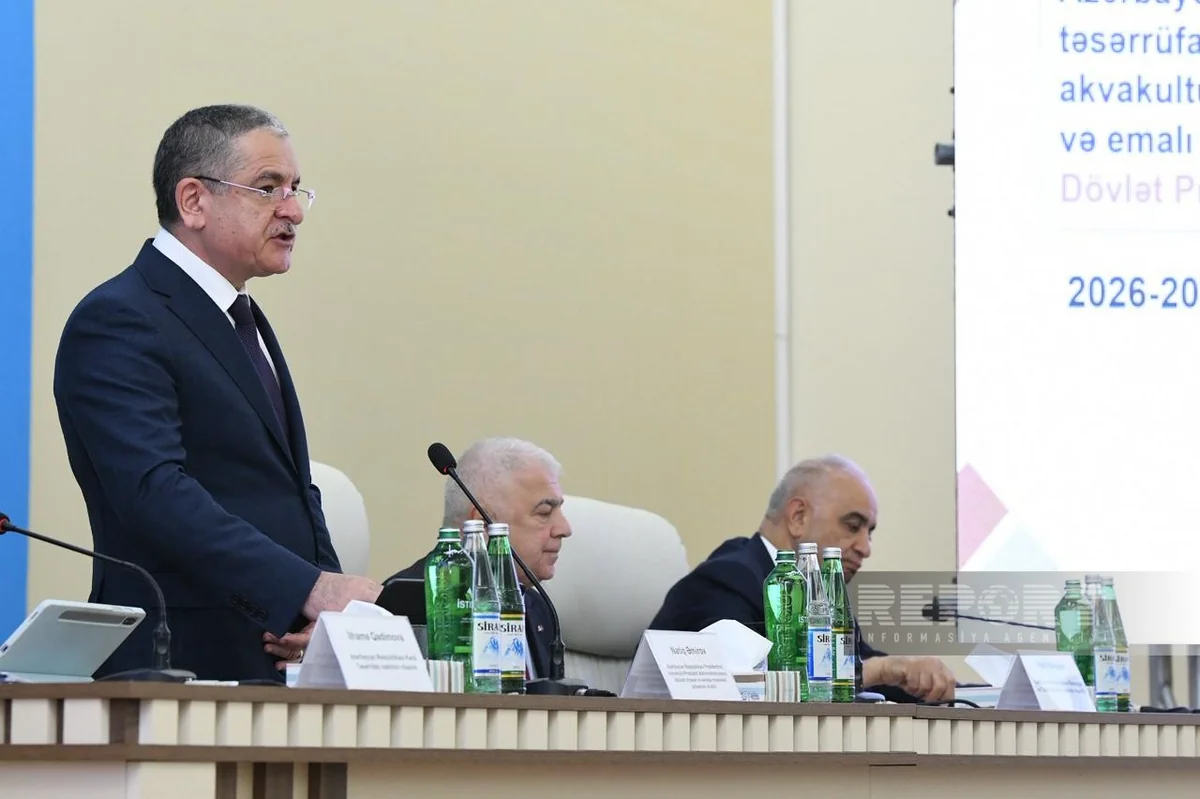 Presidential aide: Azerbaijan sets new tasks for executive authorities
