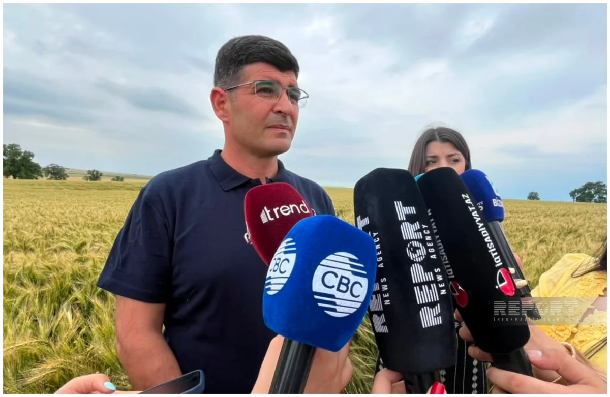 Azərbaycanda toxum sertifikatlaşmasının bütün mərhələləri rəqəmsallaşdırılıb