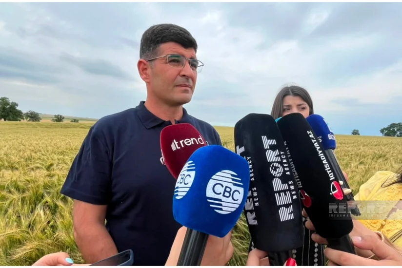Azərbaycanda toxum sertifikatlaşmasının bütün mərhələləri rəqəmsallaşdırılıb