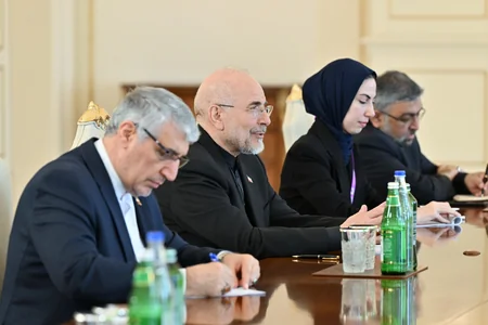 İlham Əliyev İran İslam Şurası Məclisi sədrinin başçılıq etdiyi nümayəndə heyətini qəbul edib