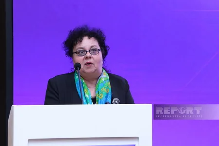 Bakıda Avropanın pensiya sistemi təcrübəsi müzakirə olunub
