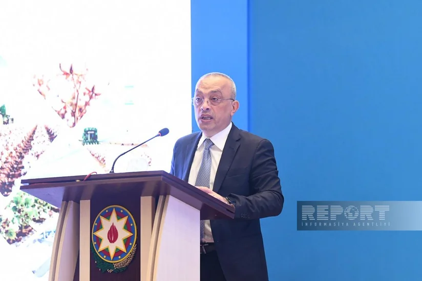 Zaur Mikayılov: Pambıq əkinlərinin suvarılması dövlət nəzarətində saxlanılır