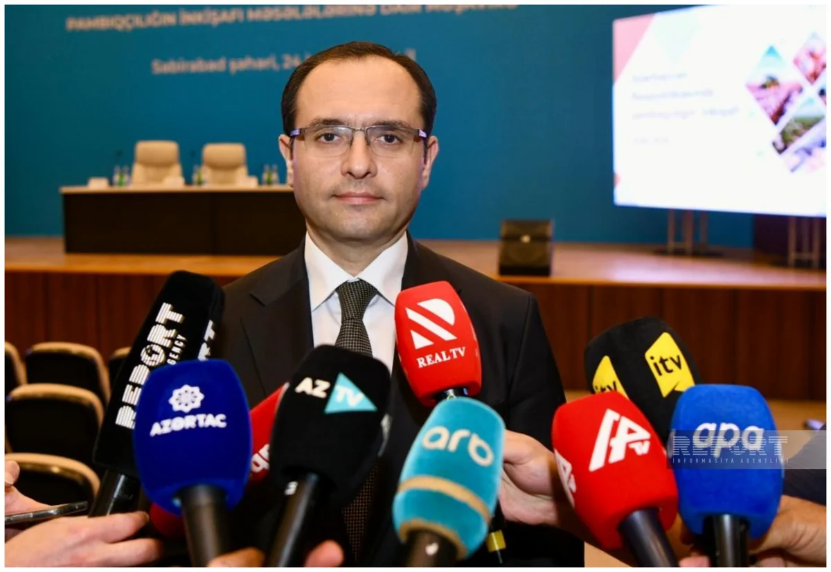 Məcnun Məmmədov: Azərbaycanda 500 hektar müasir istixana yaradılacaq