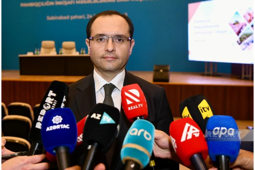 Məcnun Məmmədov: Azərbaycanda 500 hektar müasir istixana yaradılacaq