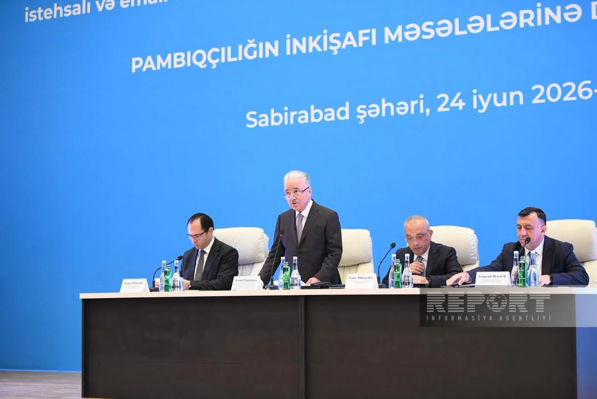 Zeynal Nağdəliyev: Azərbaycanda pambıq əkinləri 7 dəfədən çox artıb
