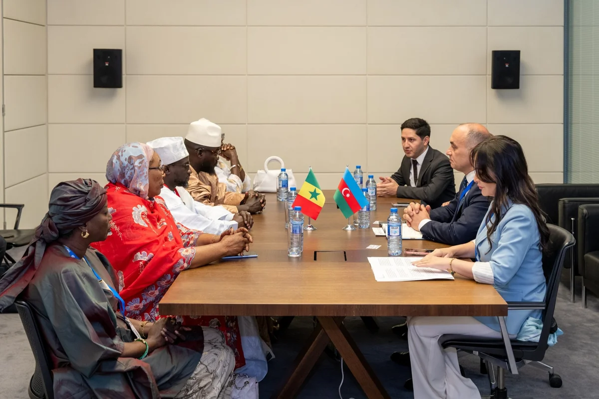 Azerbaijani, Senegalese MPs discuss interparliamentary ties