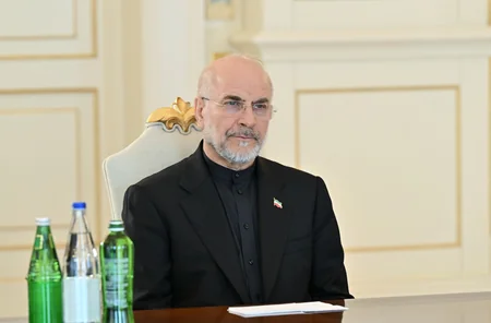 İlham Əliyev İran İslam Şurası Məclisi sədrinin başçılıq etdiyi nümayəndə heyətini qəbul edib