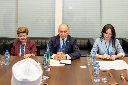 Azərbaycan və Seneqal nümayəndələri parlamentlərarası əlaqələrin inkişafını müzakirə ediblər