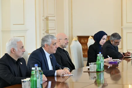 İlham Əliyev İran İslam Şurası Məclisi sədrinin başçılıq etdiyi nümayəndə heyətini qəbul edib