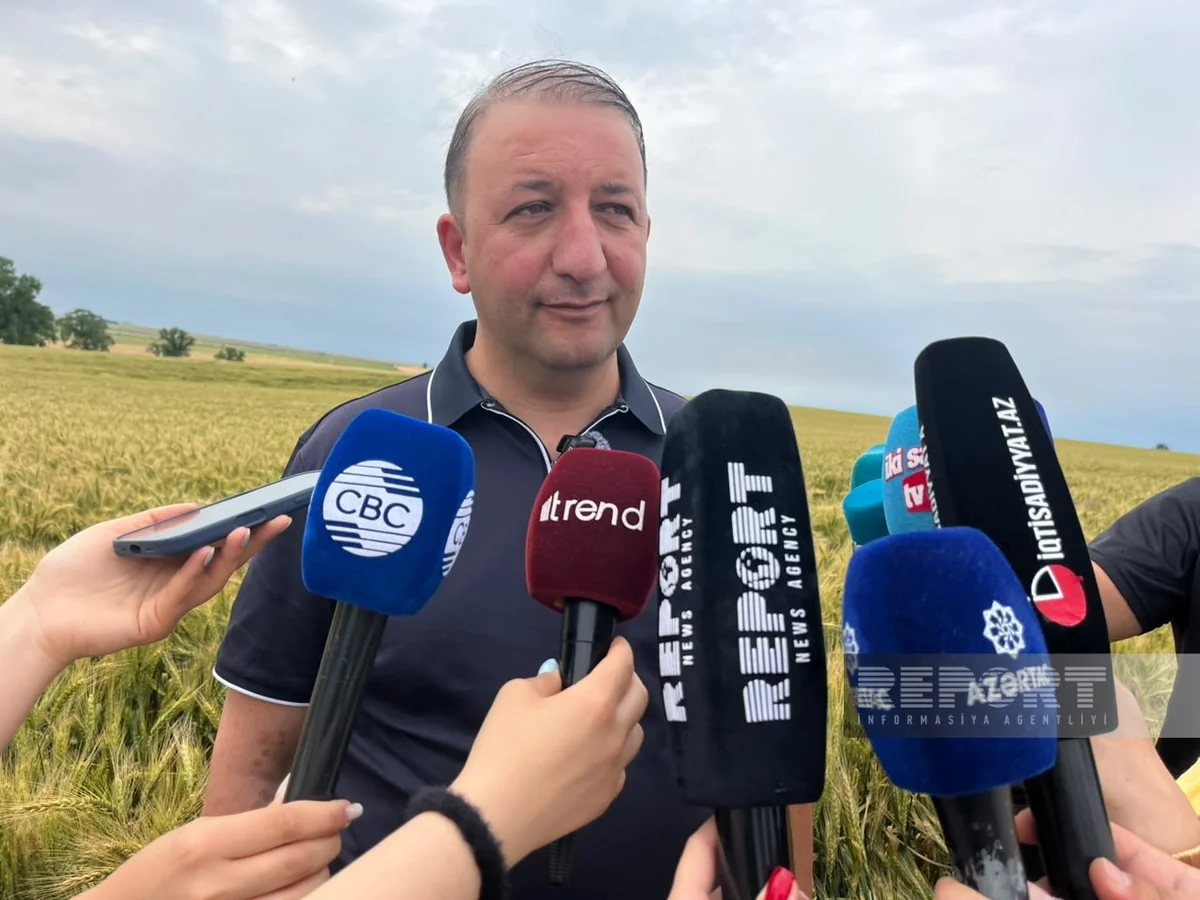 Ötən il İvanovka Aqroparkda 17 min tona yaxın məhsul istehsal edilib