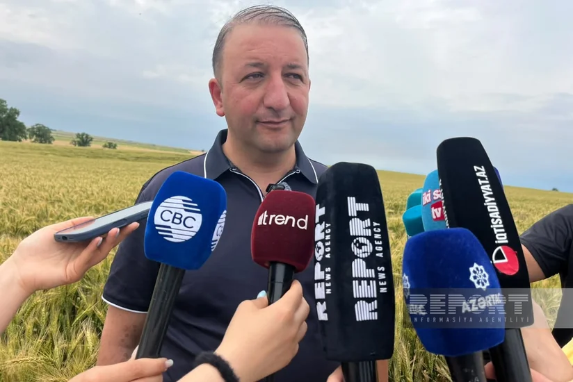 Ötən il İvanovka Aqroparkda 17 min tona yaxın məhsul istehsal edilib