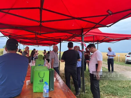 Toxumçuluğun inkişafında sertifikatlı toxumdan istifadənin əhəmiyyəti ilə bağlı sahə günü keçirilib