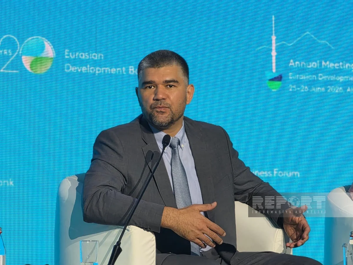 TRACECA Sec.-Gen.: Central Asia needs new transport corridors to access external markets