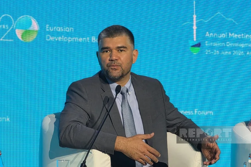 TRACECA Sec.-Gen.: Central Asia needs new transport corridors to access external markets