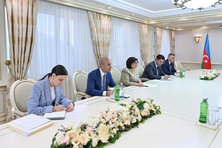 Afrika Qrupu parlament sədrləri Bakıda müzakirə edilən məsələləri yüksək qiymətləndiriblər