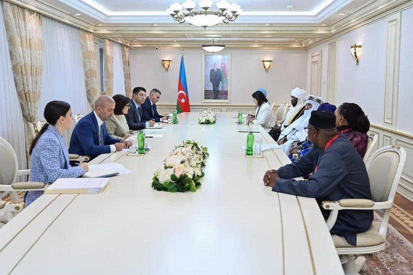 Sahiba Gafarova meets with Deputy Speakers of Parliament of African Group