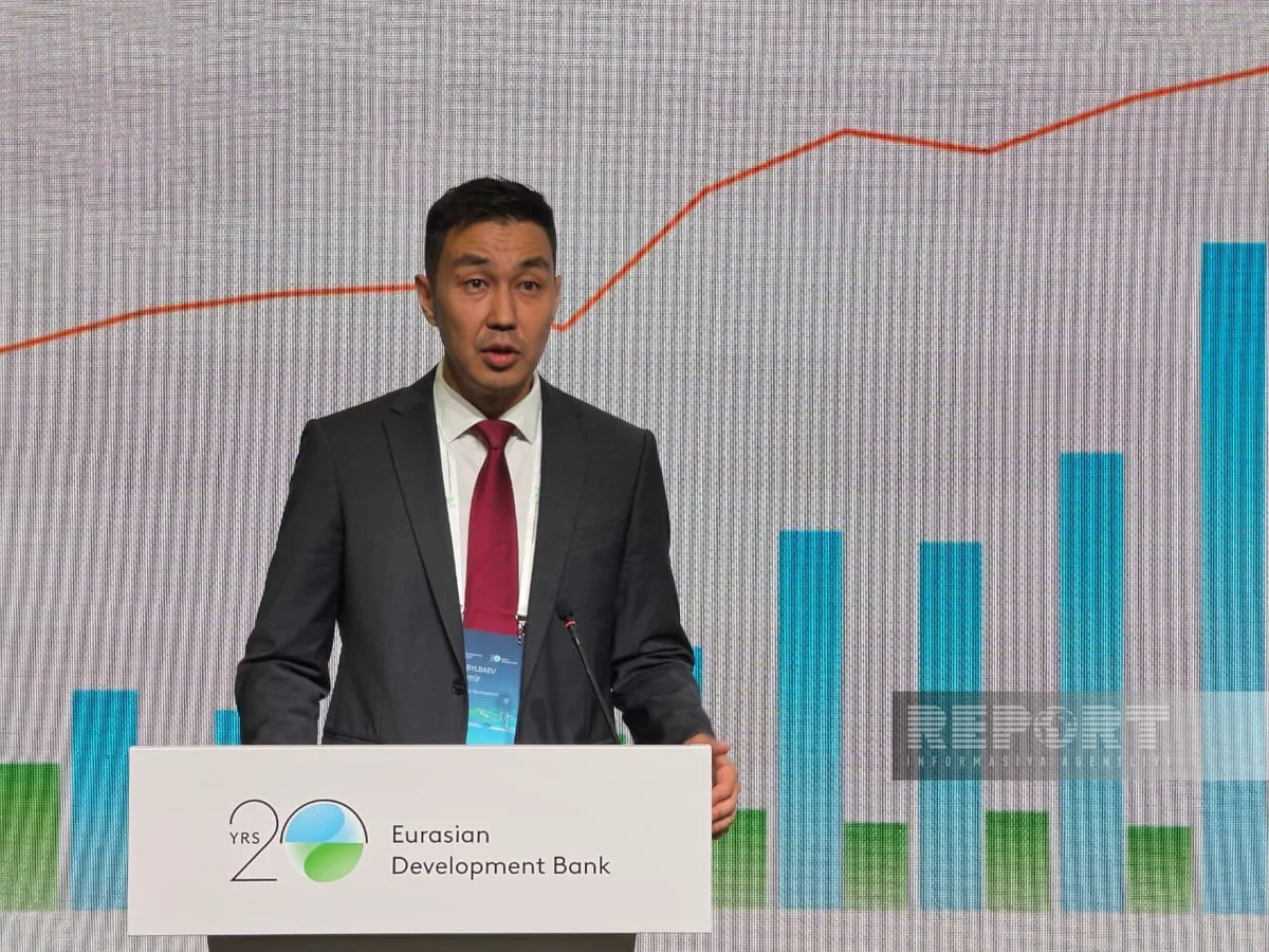 EDB: Losses in Central Asian power grids reach 20%
