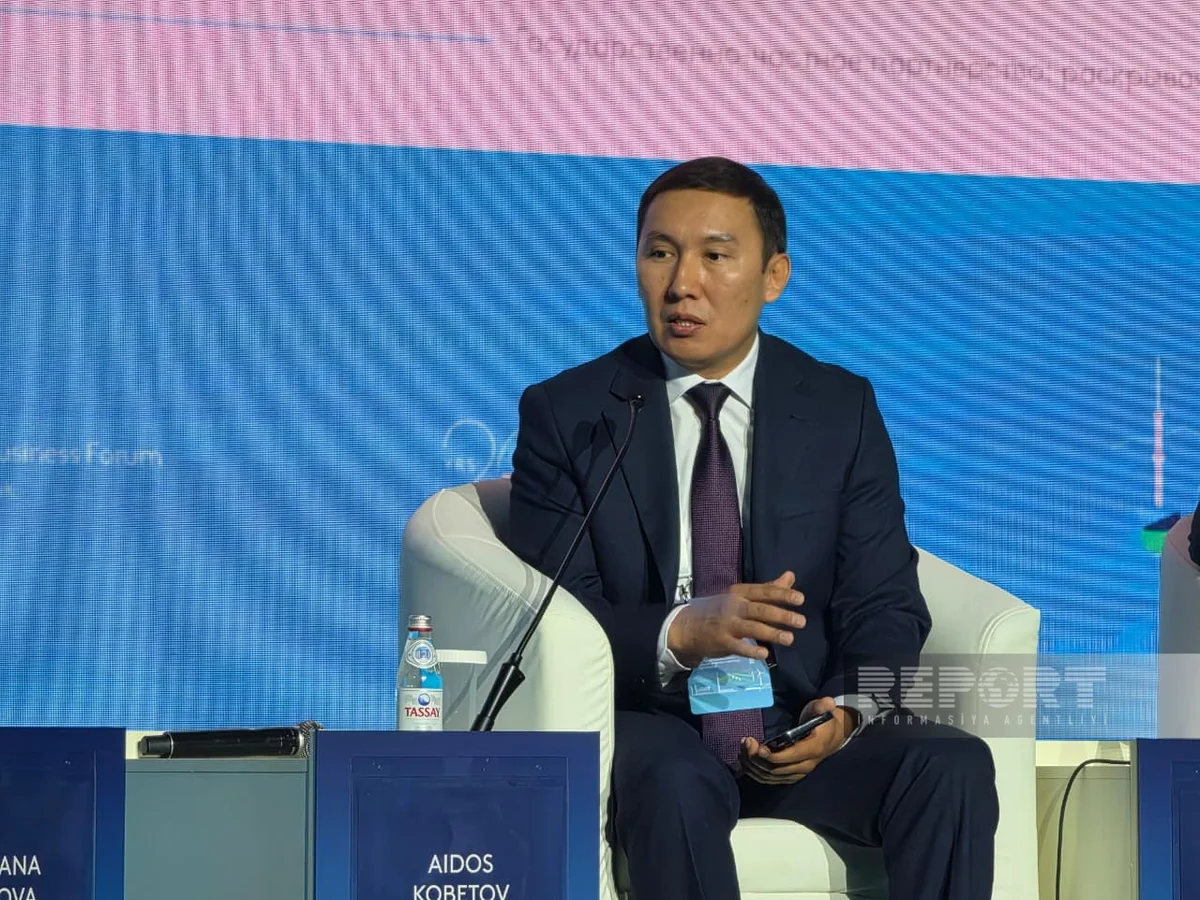 Kazakhstan PPP Center: Traditional projects cost 70% more than PPP mechanism