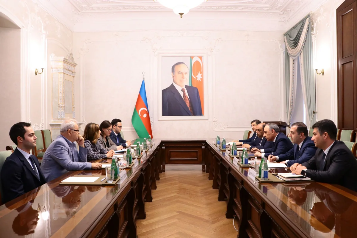 Azerbaijani Prosecutor General, ICMP head discuss co-op on missing persons