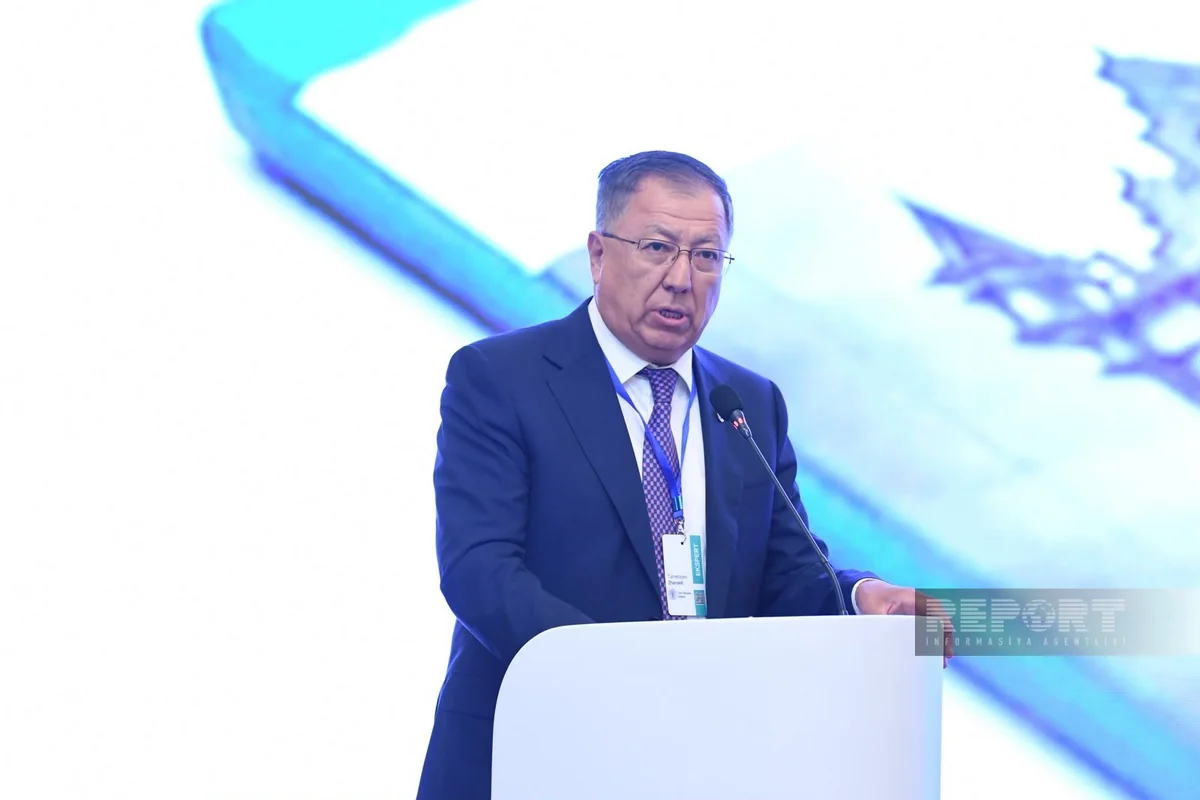Tuimebayev: Turkic countries should move towards implementing joint Turkological projects