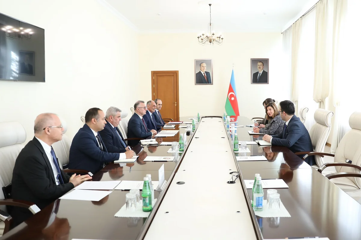 Azerbaijan Health Ministry, ICMP discuss forensic cooperation