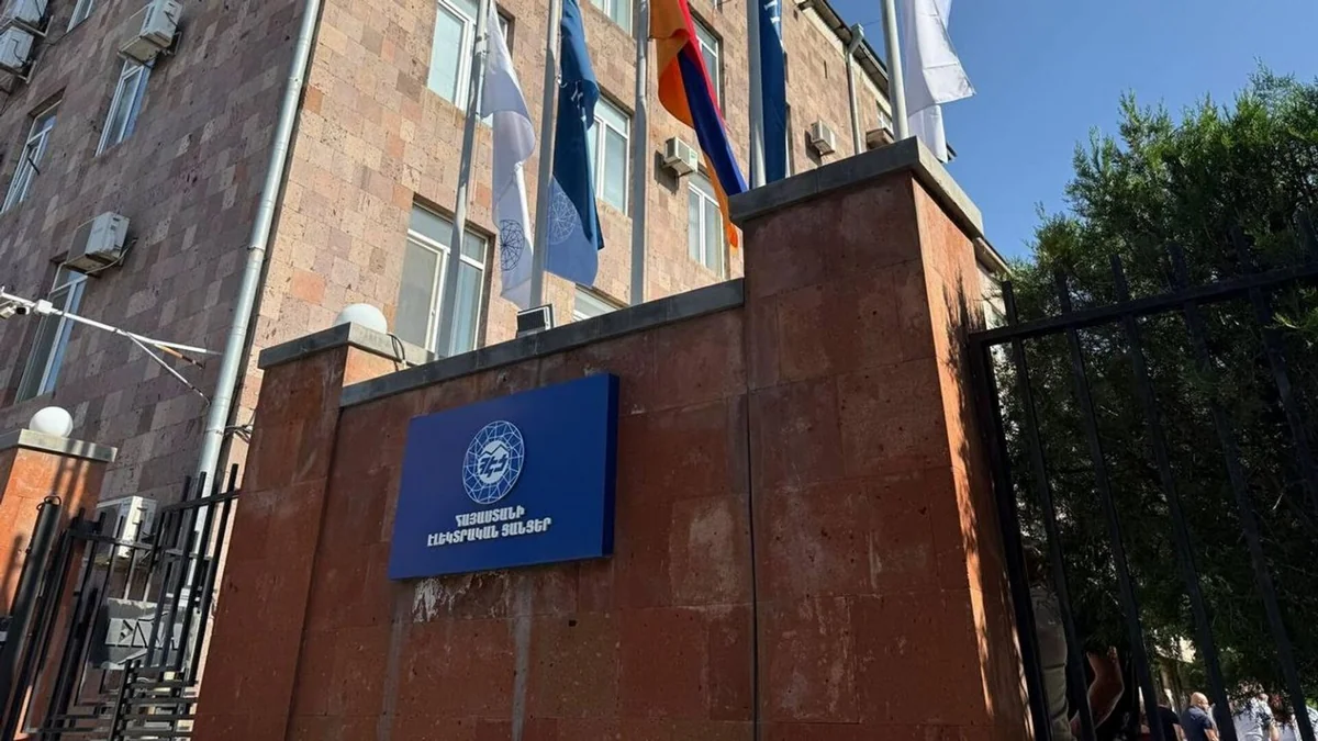 В Армении Элсети могут признать общественным предприятием