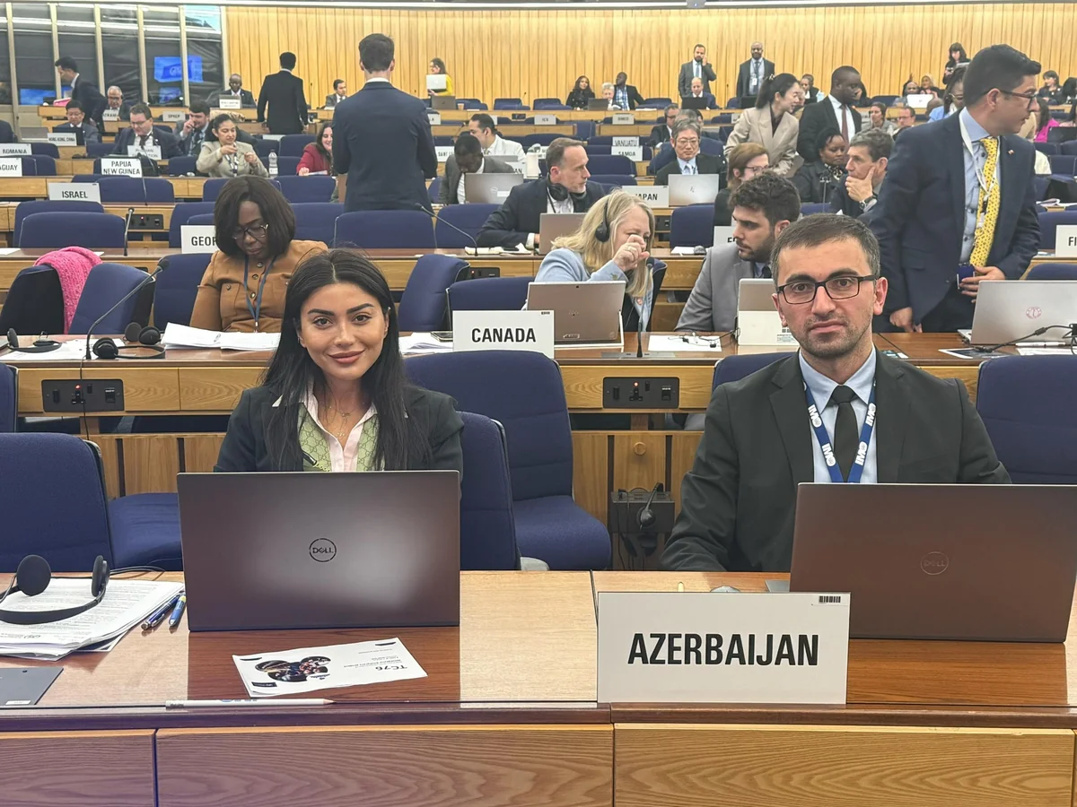 Azerbaijan represented at session of IMO Technical Cooperation Committee