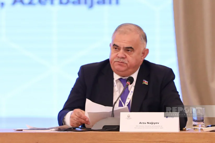 Arzu Nağıyev: İtkin düşmüş şəxslərin taleyinin müəyyənləşdirilməsi üçün beynəlxalq strategiya vacibdir