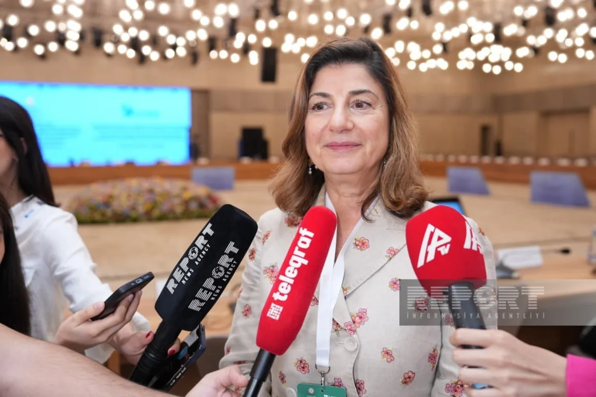 ICMP chief says Azerbaijan's forensic capabilities are at a high level