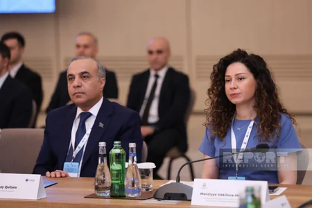 International conference on issue of missing persons underway in Baku