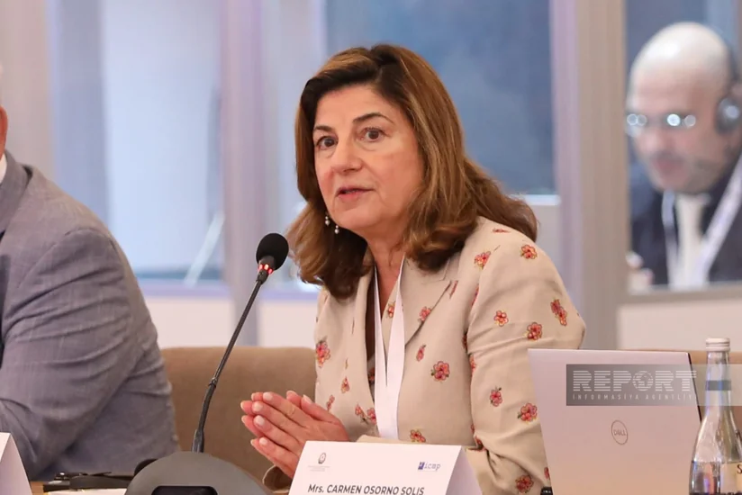 ICMP ready to help mediate missing persons issue between Azerbaijan and Armenia