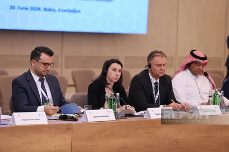 International conference on issue of missing persons underway in Baku