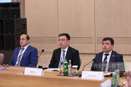 International conference on issue of missing persons underway in Baku