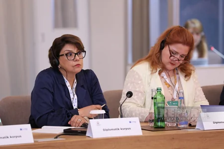 International conference on issue of missing persons underway in Baku