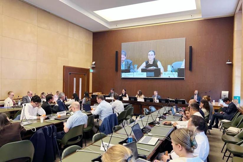 Azerbaijan to be represented in UNECE committee leadership