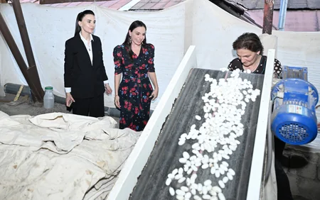 Leyla Əliyeva Azəripək ASC-nin fəaliyyəti ilə yaxından tanış olub