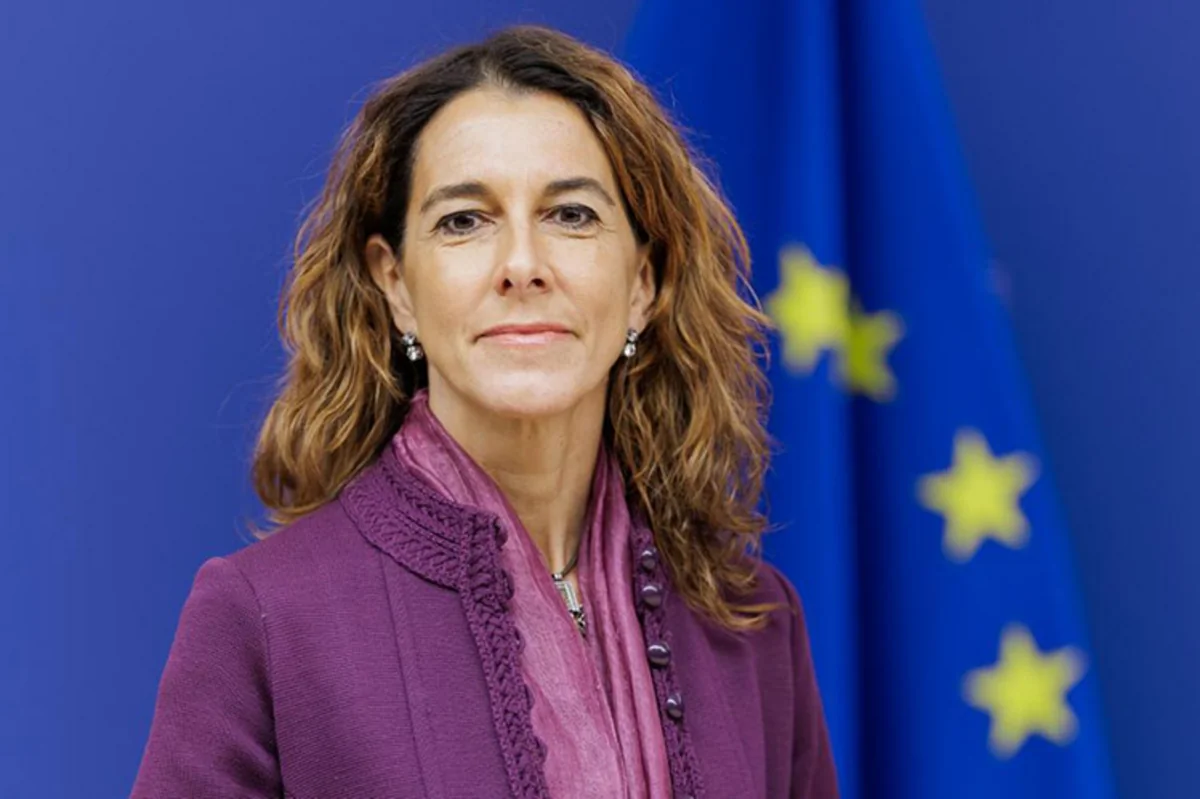 Pinho: EC president's visit to region linked to Baku-Yerevan peace