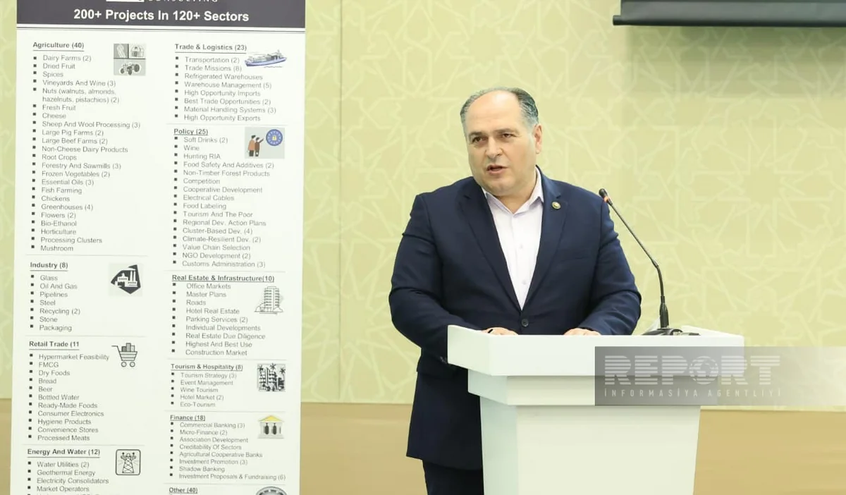 Green energy transition requires effective legal regulation, expert says