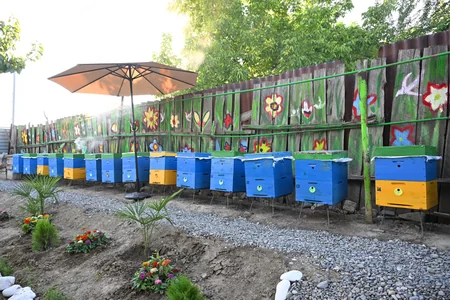 Leyla Aliyeva meets Young Beekeeper project participant in Yevlakh