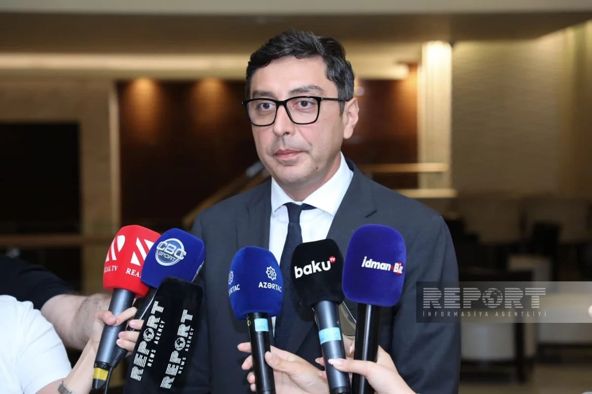Farid Gayibov: UFC and Formula 1 contribute to tourism development