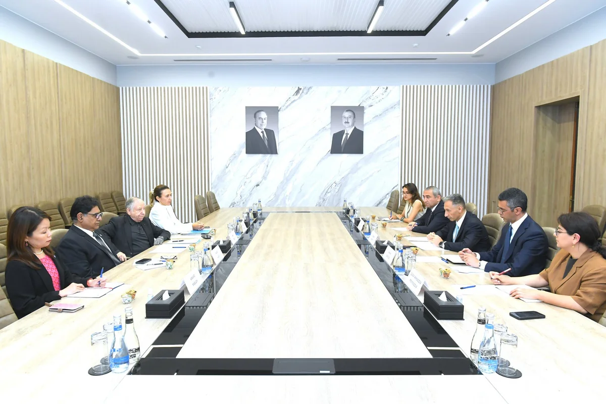 Azerbaijan, UN envoy discuss road safety cooperation