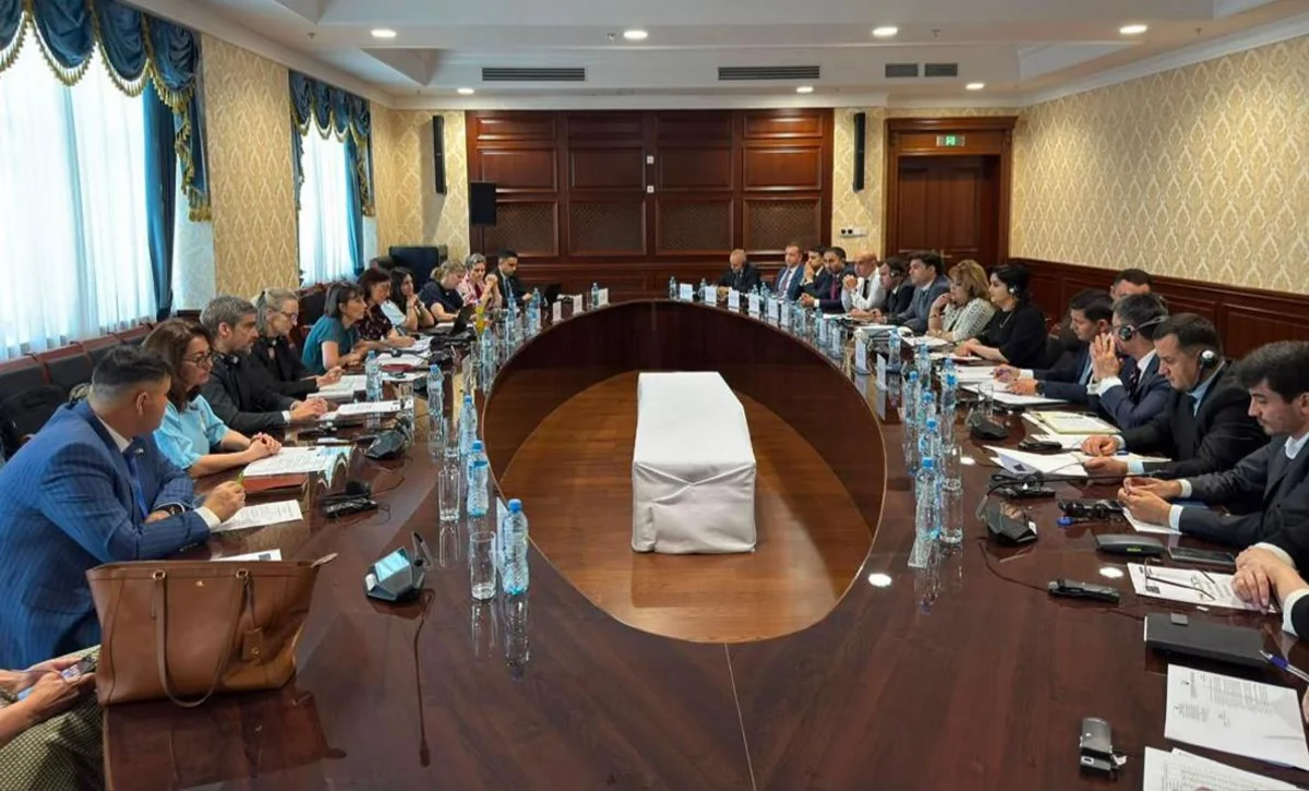 Tajikistan, EU mull developing cooperation in economy, transport, energy sectors